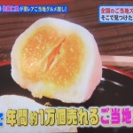大ヨコヤマ物産展　ライスバーガー,塩トマト,みかん大福　ヒルナンデス