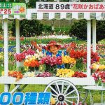 あさチャン　北海道８９歳　紫竹ガーデン　花咲かおばあさんの魅力